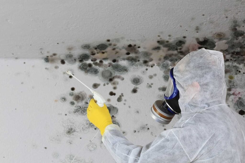 24/7 Emergency Water Damage & Mold Removal